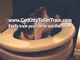 Adorable kitten learning to use the toilet - Cat Kitty Toilet Training - Potty Training