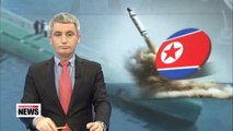 Experts continue to raise doubts over N. Korea's 'SLBM test'