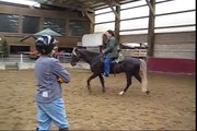 Training Gaited Horses - lessons with three different horses