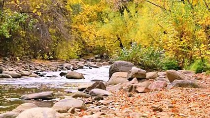 This is really amazing!