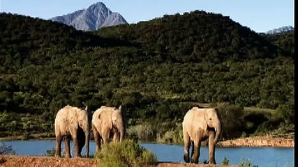 South African Tourism Advertisement!