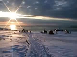 本物のタテゴトアザラシとのふれあい（カナダ・マドレーヌ島沖の氷原）