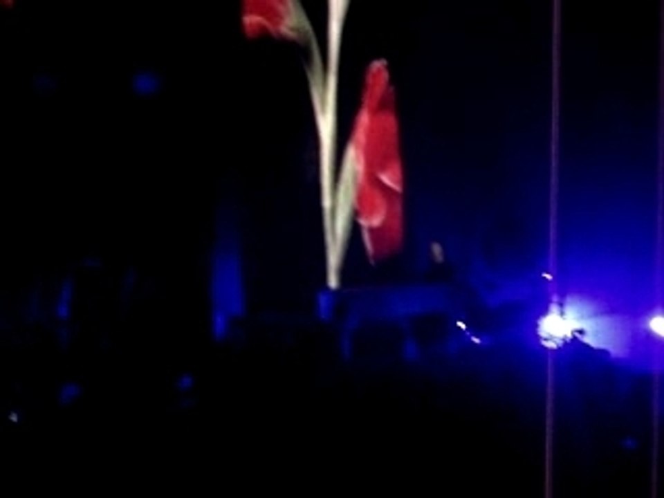 Obispo - les fleurs du bien