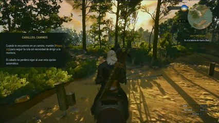 The witcher Wild hunt, parte 3, La posada