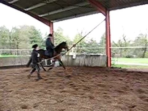 dav au trot 1 er cours sur Odin