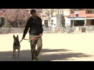 TV3 - Generació digital - Gàdgets per a les mascotes