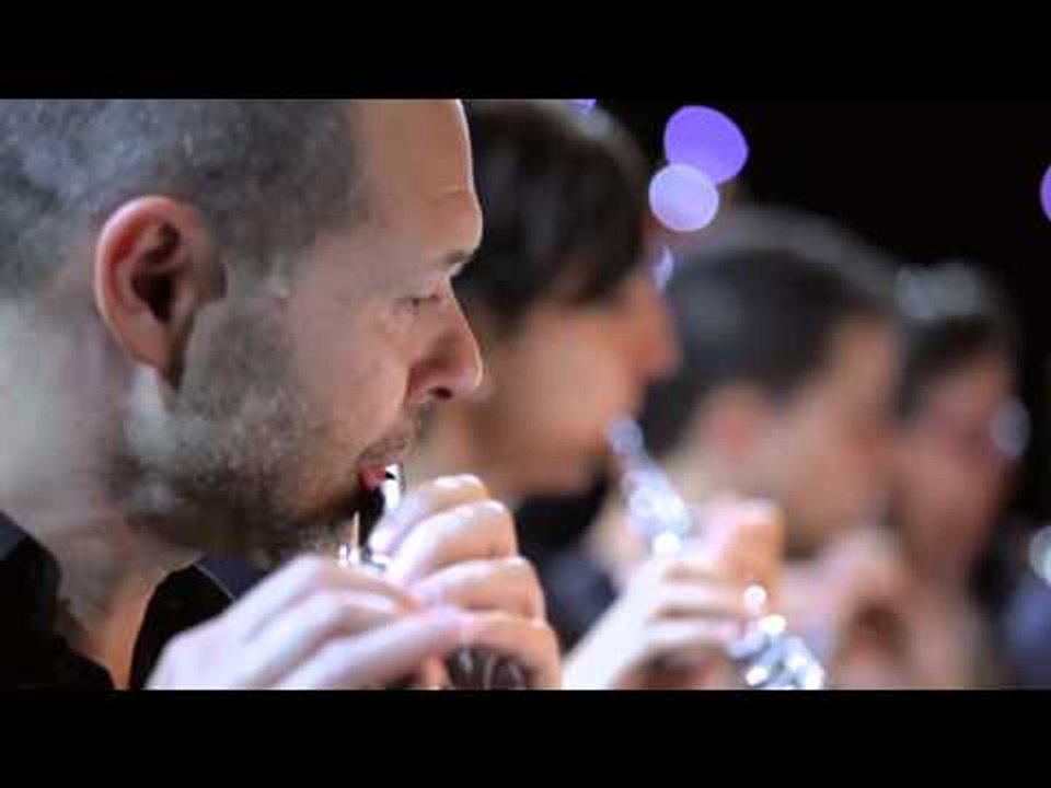TV3 - Ets música - J. Brahms - Dansa hongaresa núm. 5