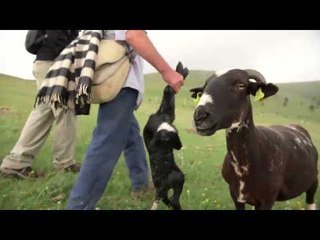 TV3 - "No serà fàcil" - Menys és més