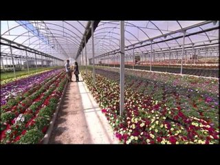 Espai Terra. Divendres 10 d'abril