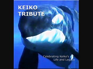 Keiko tribute - keep holding on