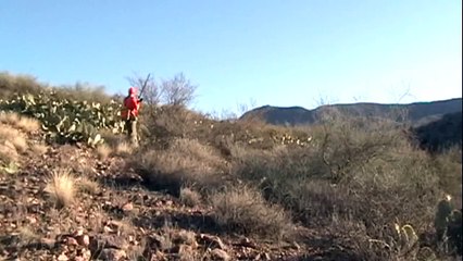 Gambel's Quail Hunting - January 2, 2010