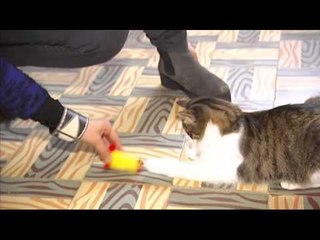 Espai Terra. Dimecres 18 de març