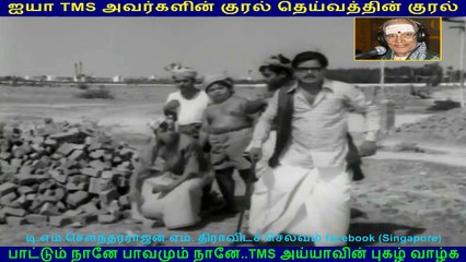 Hello Partner 1972  (TMS Legend)  126