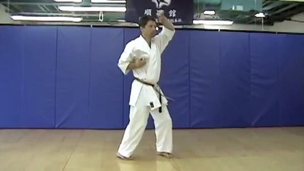 Gekisai Dai Ni Kata