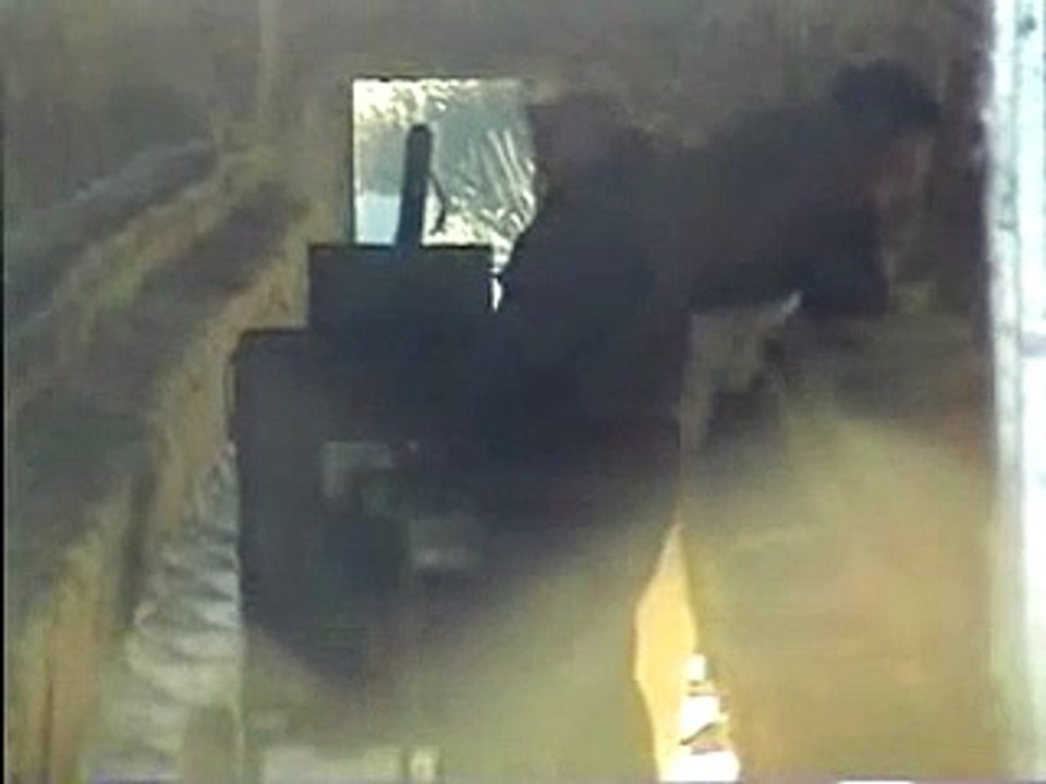 Gassing of Mink, Ardara, Ireland 2005