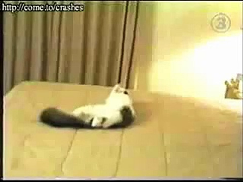 Duh! Which Way Did He Go, George?