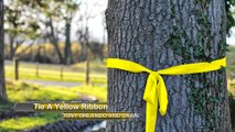 Tie A Yellow Ribbon ('Round The Ole Oak Tree)- Bich Thuy cover
