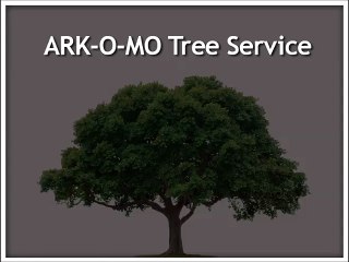 Residential and Commercial Tree Services
