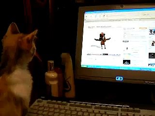 Whats new pussy cat... Peeker style