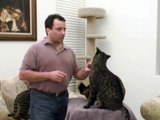 response: Savannah Rescue Serval/Cat- Big Cat TV