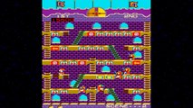 Mr. Do's Castle 1983 Universal Mame Retro Arcade Games