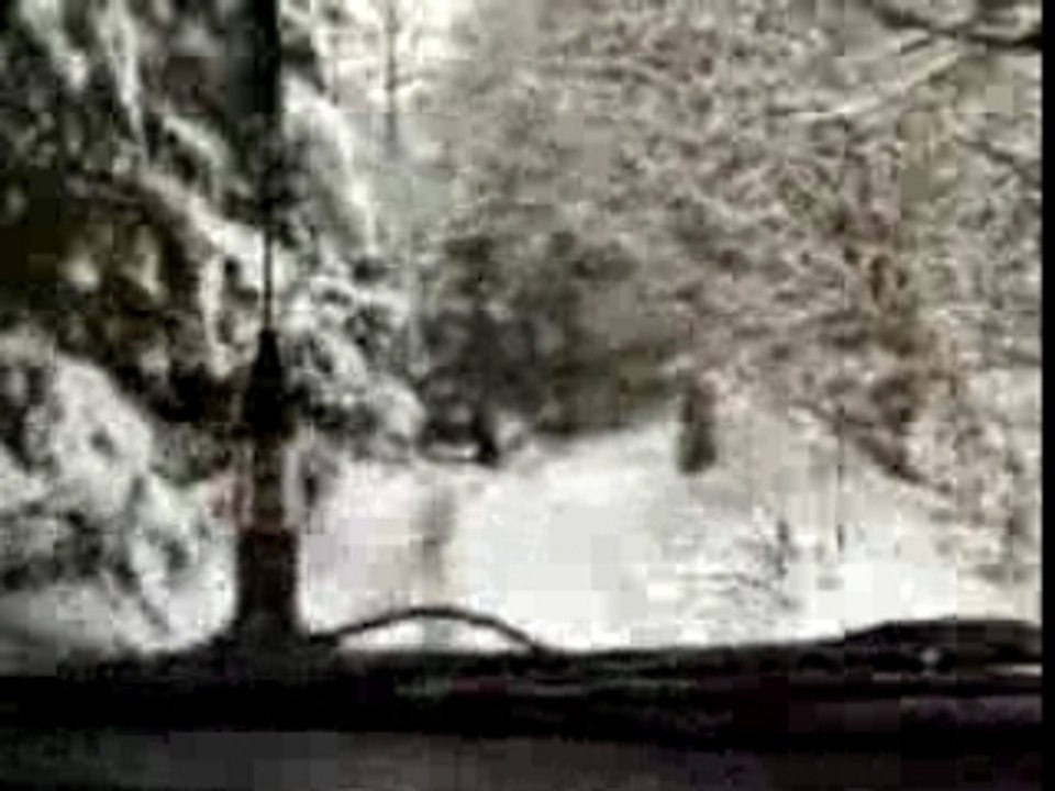 Ballade en Forêt en Suzuki Vitara essence vidéo 023