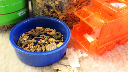 Casper's Daily Diet (Dwarf Hamster)