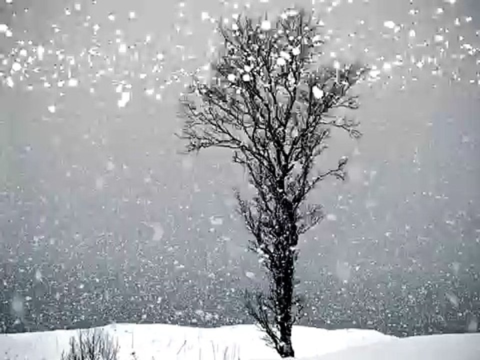shiv pandit animation snow falling day 1