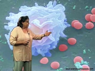 Prokaryotic vs Eukaryotic transcription - Melissa Moore (U Mass/HHMI)