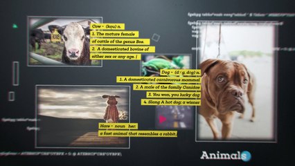 After Effects Project Files - Abstract 3D Timeline - VideoHive 10462858