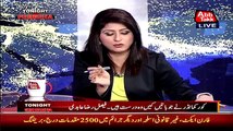 Faisal Raza Abidi Open The Corruption Of Public Servies Commision In Front Of Nisar Khuro In Live Show -