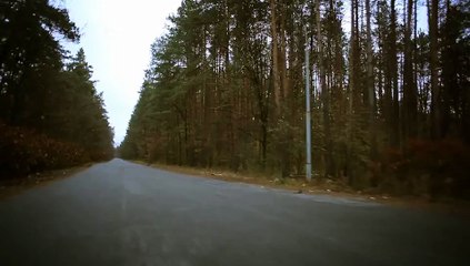 After Effects Project Files - Road Forest Motion Title - VideoHive 10506666