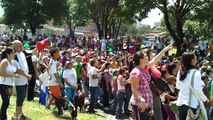 Caminata caninca - Feria de Flores Medellín 1/2