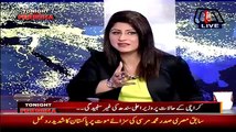 Achor Fareeha Badly Trapping Faisal Raza Abidi To Speak Against Zardari -