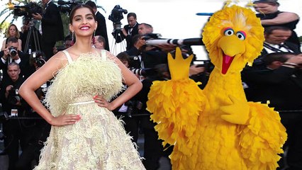 Sonam Kapoor CRITICISED For Her COSTUME | Cannes 2015