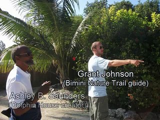 Bimini Boa on the Bimini Nature Trail