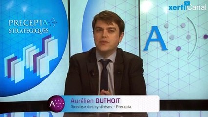 Aurélien Duthoit, Xerfi Canal Les fans de marques sur les réseaux sociaux