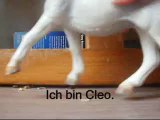 Schleich Pferde - Cleo the Summer Rain.