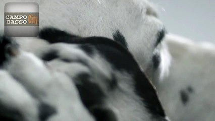 Se tieni a qualcuno fa attenzione ai suoi nei.