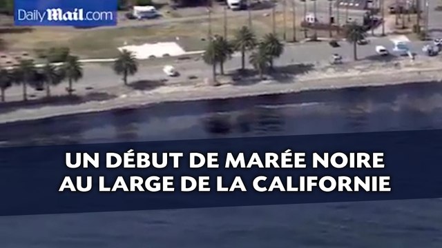 Un début de marée noire atteint les côtes de la Californie