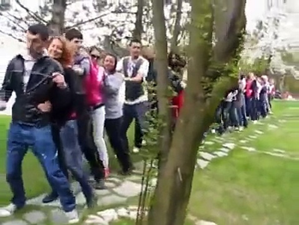 Etkiliyici Komik Bir Oyun Havası (Zayçe-Ayşe Pingvin) Penguen Dance