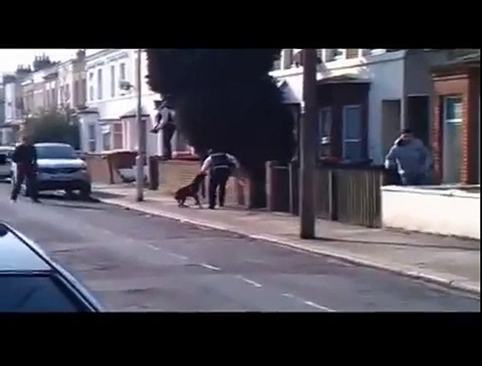 Pitbull attacks police officers in London ( WARNING GRAPHIC )