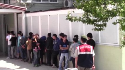 Ayvacık Sahilinde 60 Kaçak Yakalandı