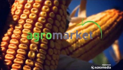 Da vaša njiva bude sigurna od korova – dokazano – Agromarket!_398_02.05.2015.