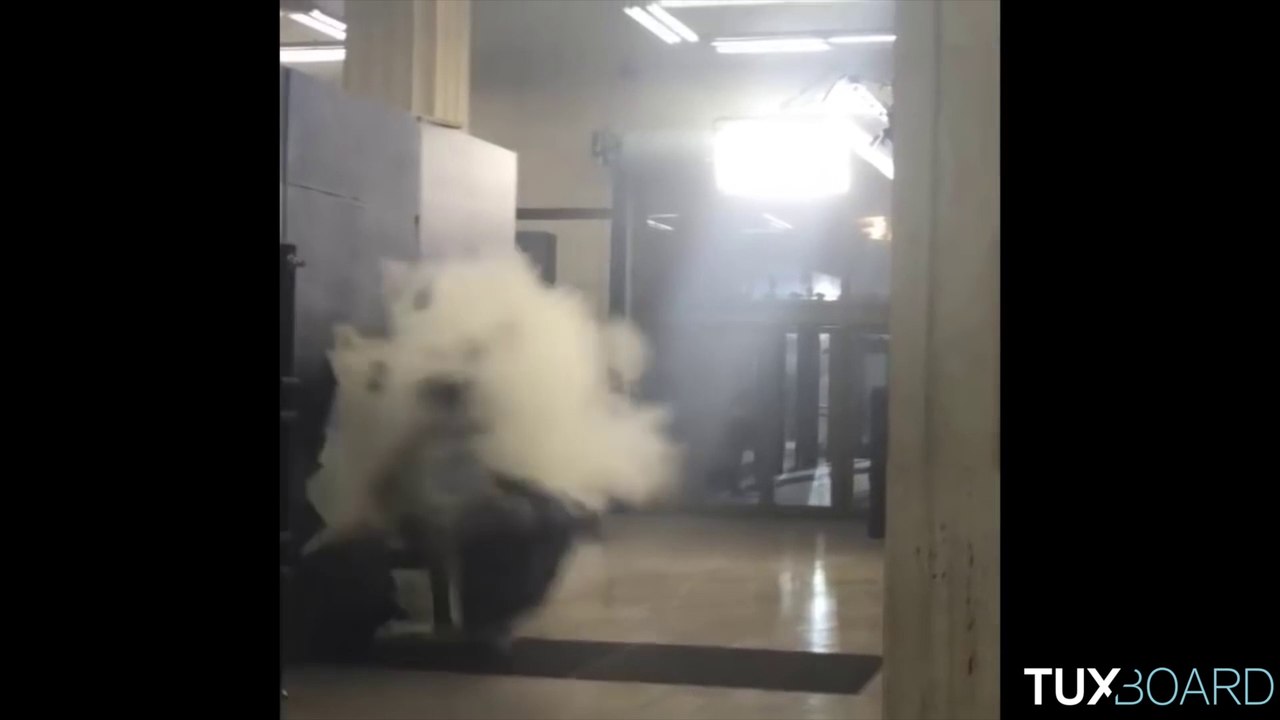 Cascade complètement ratée de Taylor Swift