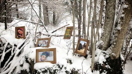 After Effects Project Files - Pictures In The Snow - VideoHive 3825066