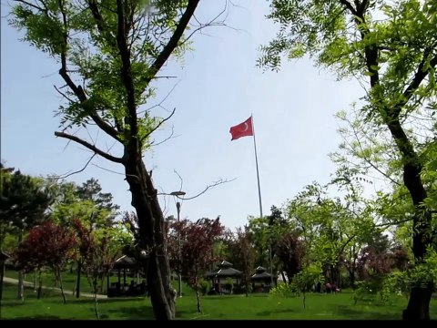 Ankara'nın taşına bak Gözlerimin yaşına bak Uyan uyan Gazi Kemal şu feleğin işine bak Ruhi Su