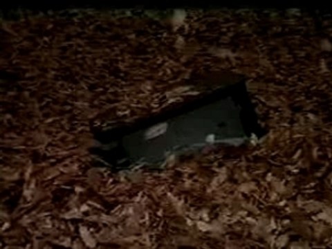 Gackt - Malice Mizer - Au Revoir