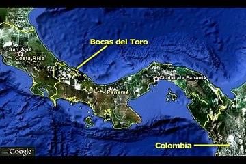 DESAFIO de CARACOL TV afecta anidamiento de tortugas marinas