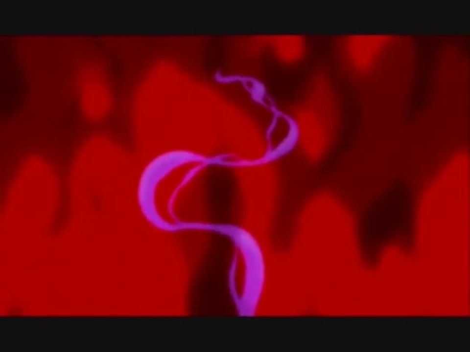 Aladdin - Intro (Deutsch)